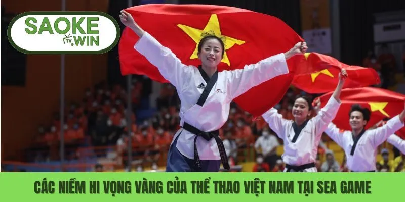 Các Niềm Hi Vọng Vàng Của Thể Thao Việt Nam Tại Sea Game 8 Sea game